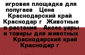 игровая площадка для попугаев › Цена ­ 1 000 - Краснодарский край, Краснодар г. Животные и растения » Аксесcуары и товары для животных   . Краснодарский край,Краснодар г.